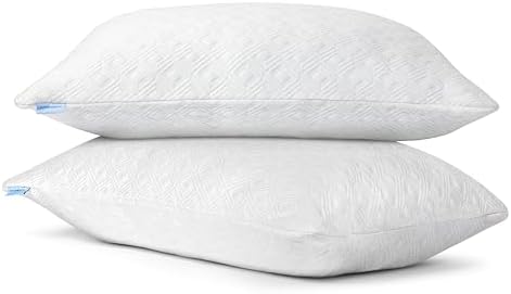 2 Pack King Size Rayon Bamboo Pillows with Memory Foam