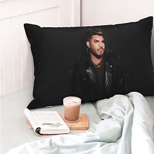 Adam Singer Lambert 20x30 Throw Pillow Covers with Hidden Zipper