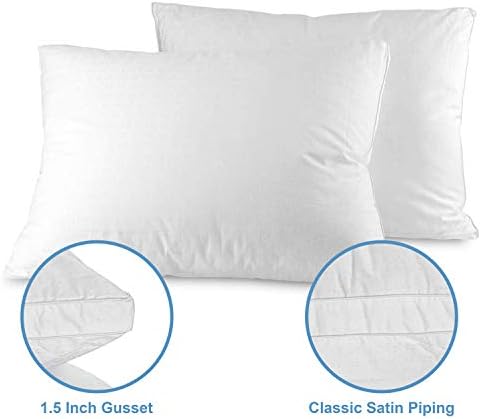 Maxi Mastertex Cooling Bed Pillows 2-Pack with Cotton Protectors