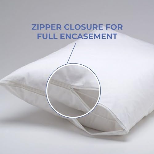 Kotton Culture Cotton Shell Pillow with Gusset Insert White 20 x 35