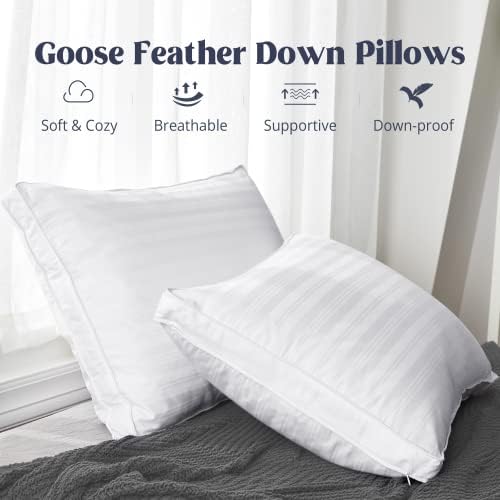 Puredown Goose Feathers and Down Pillow King Size Set of 2