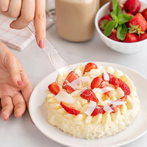 Dealusy 360 Count Heavy Duty Clear Plastic Knives BPA-Free