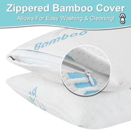 Cool Rayon Bamboo Pillows 2 Pack Queen Size 20x30