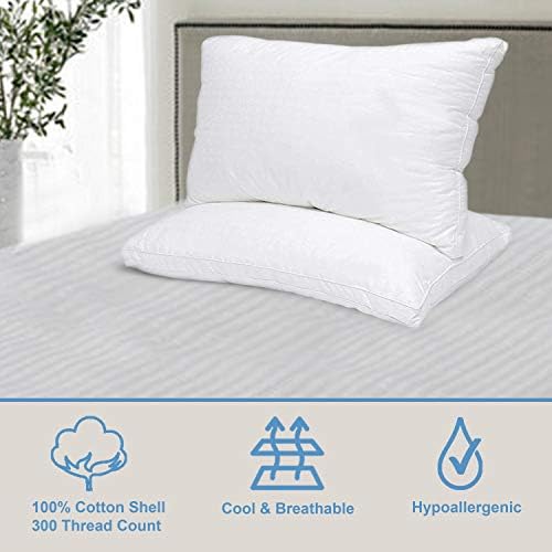 Maxi Mastertex Cooling Bed Pillows 2-Pack with Cotton Protectors