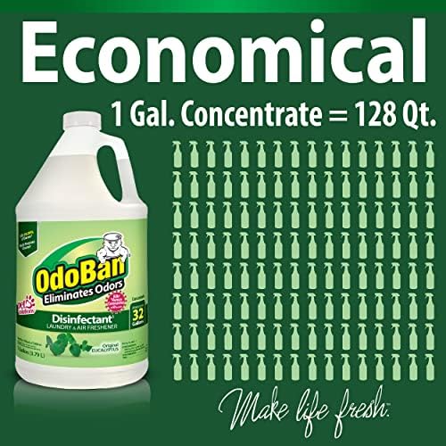 OdoBan Disinfectant 2 Gallons Eucalyptus Scent