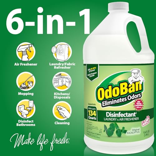 OdoBan Disinfectant Concentrate 134 Ounces Eucalyptus Scent