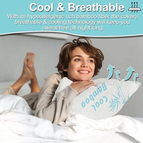 Cool Rayon Bamboo Pillows 2 Pack Queen Size 20x30