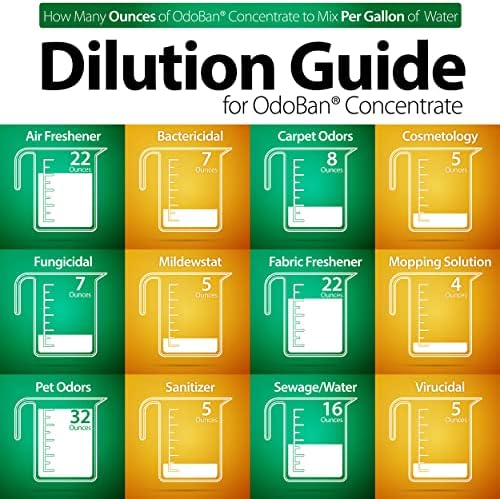 OdoBan Disinfectant 2 Gallons Eucalyptus Scent
