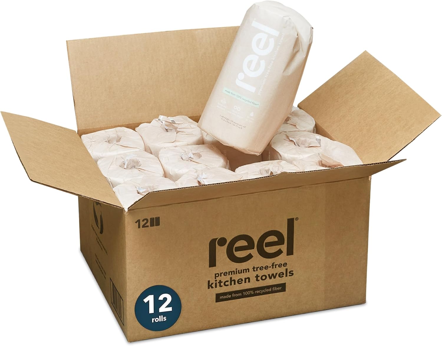 Reel Premium Recycled Paper Towels - 12 Rolls 2-Ply Tree-Free