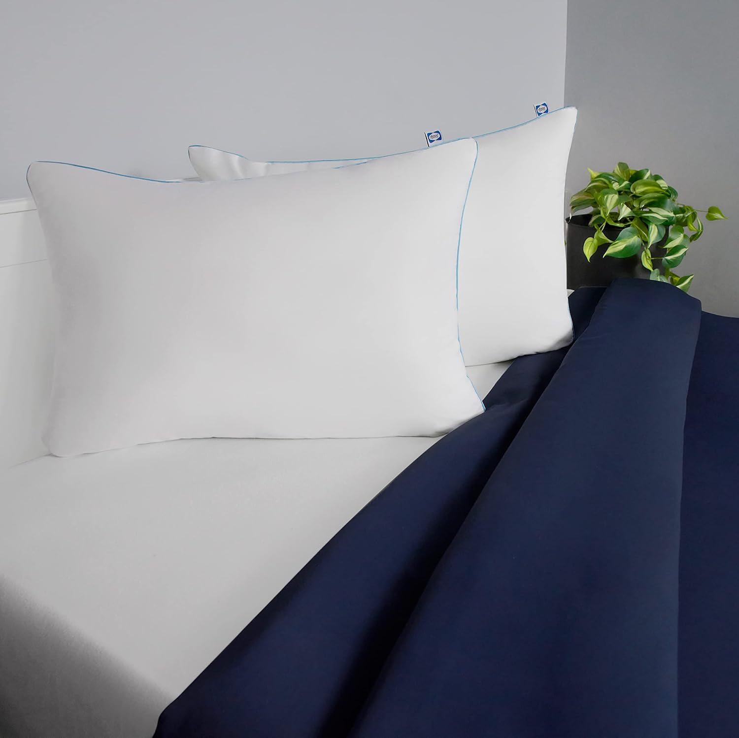Sealy Perfect Temp Bed Pillows 2 Pack White 1