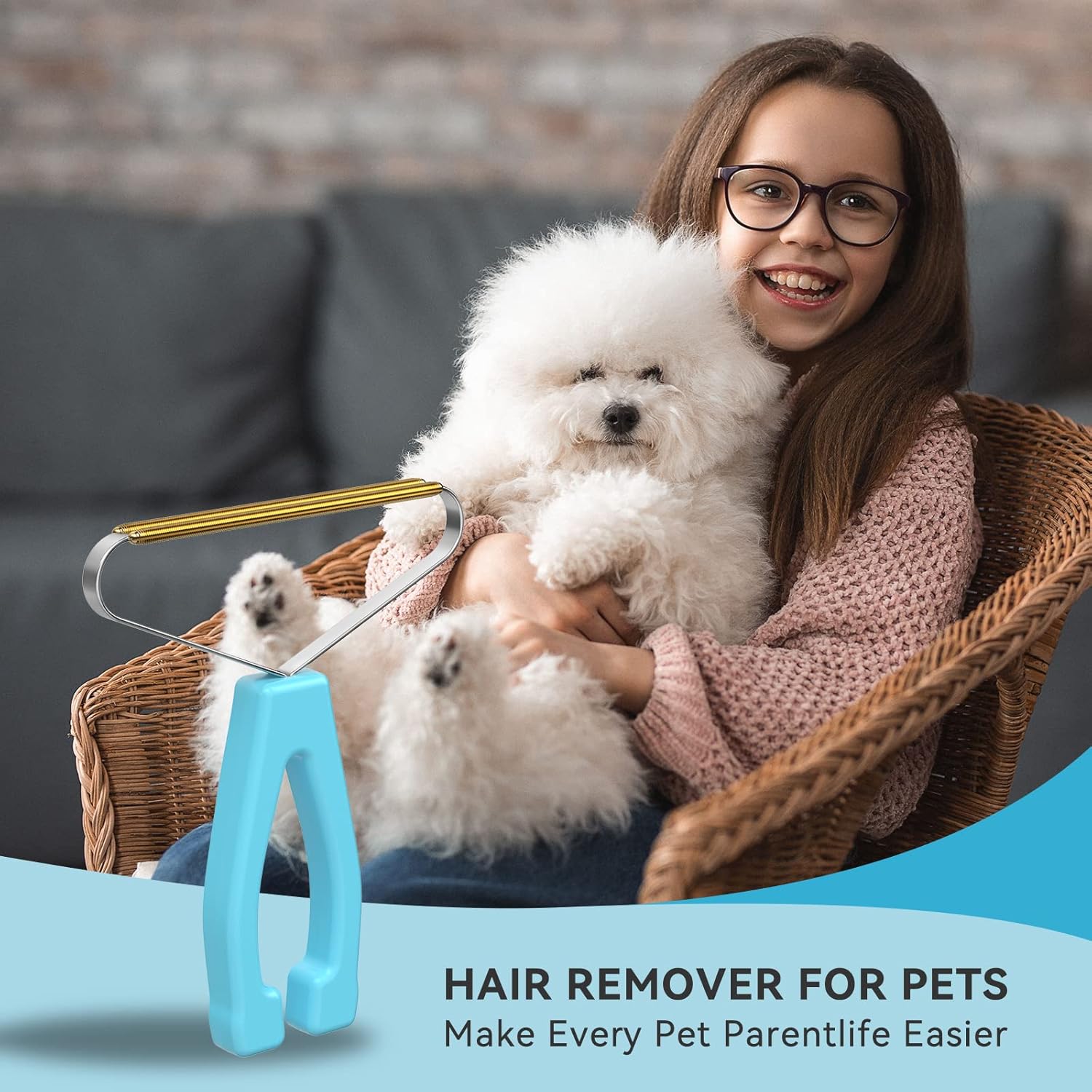 SOCCSO Pet Hair Remover for Carpets Furniture