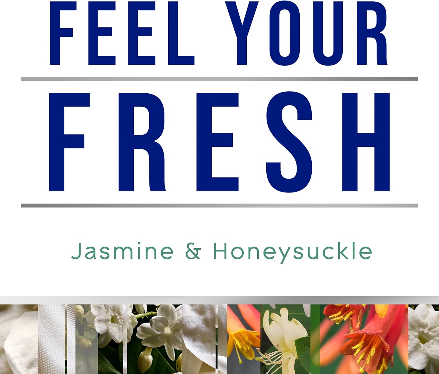 Glade PlugIns Refills Jasmine Honeysuckle 5 Count 1