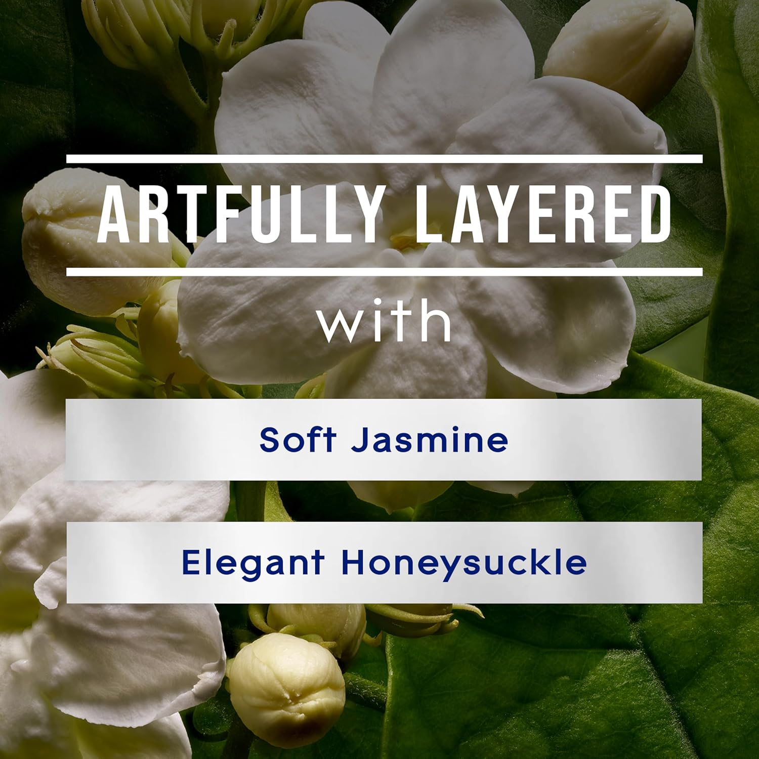 Glade PlugIns Refills Jasmine Honeysuckle 5 Count 1