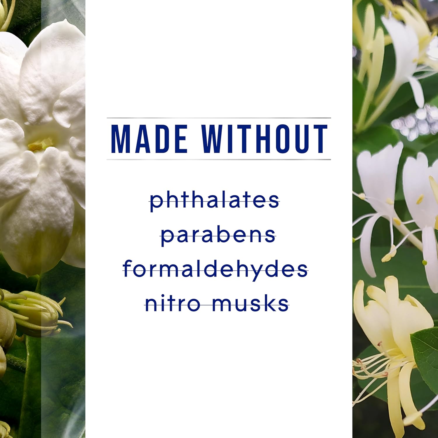 Glade PlugIns Refills Jasmine Honeysuckle 5 Count 1